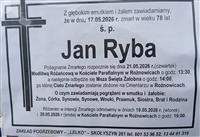 Gołębie zdjęcie